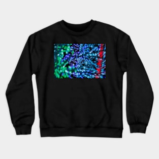 Lights 5 Crewneck Sweatshirt